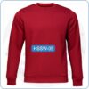 Fleece Sweat Shirt manufacturing (ASSW-05)